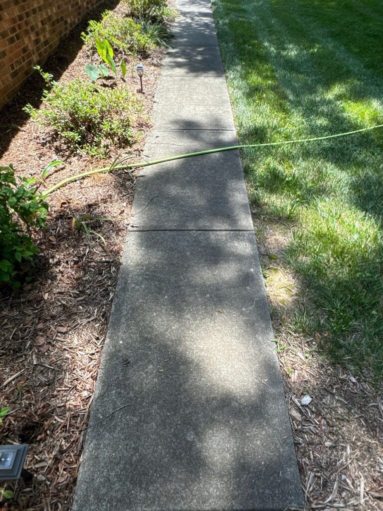 Concrete sidewalk cleaning