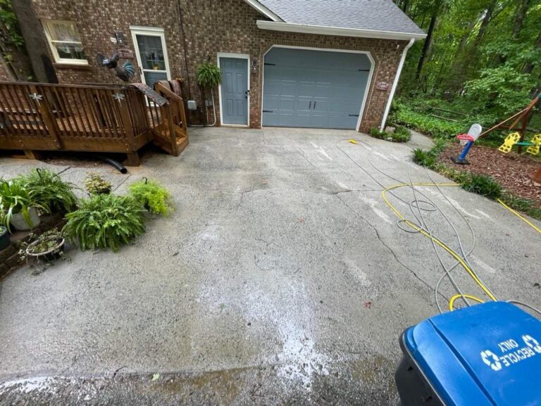 professional pressure washing services