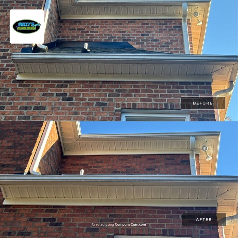 gutter cleaning in Winston-Salem NC 27106