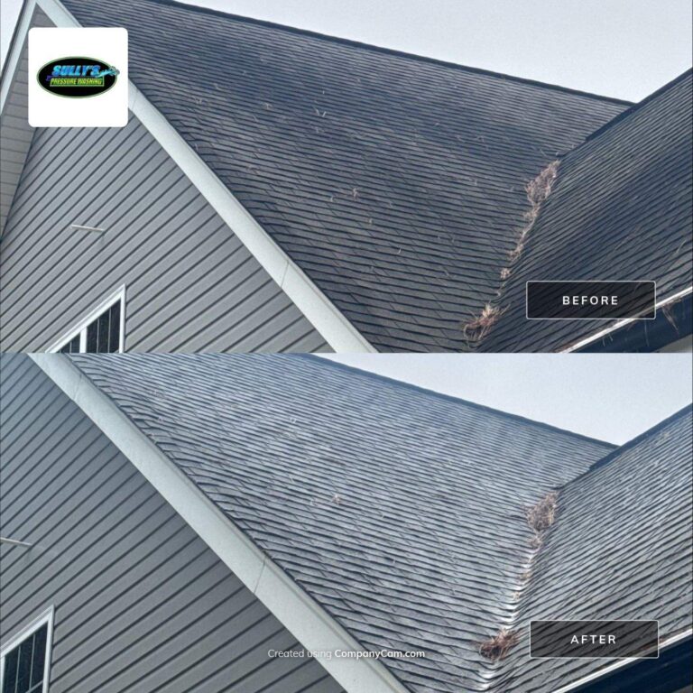 roof cleaning in Monroe NC 28112